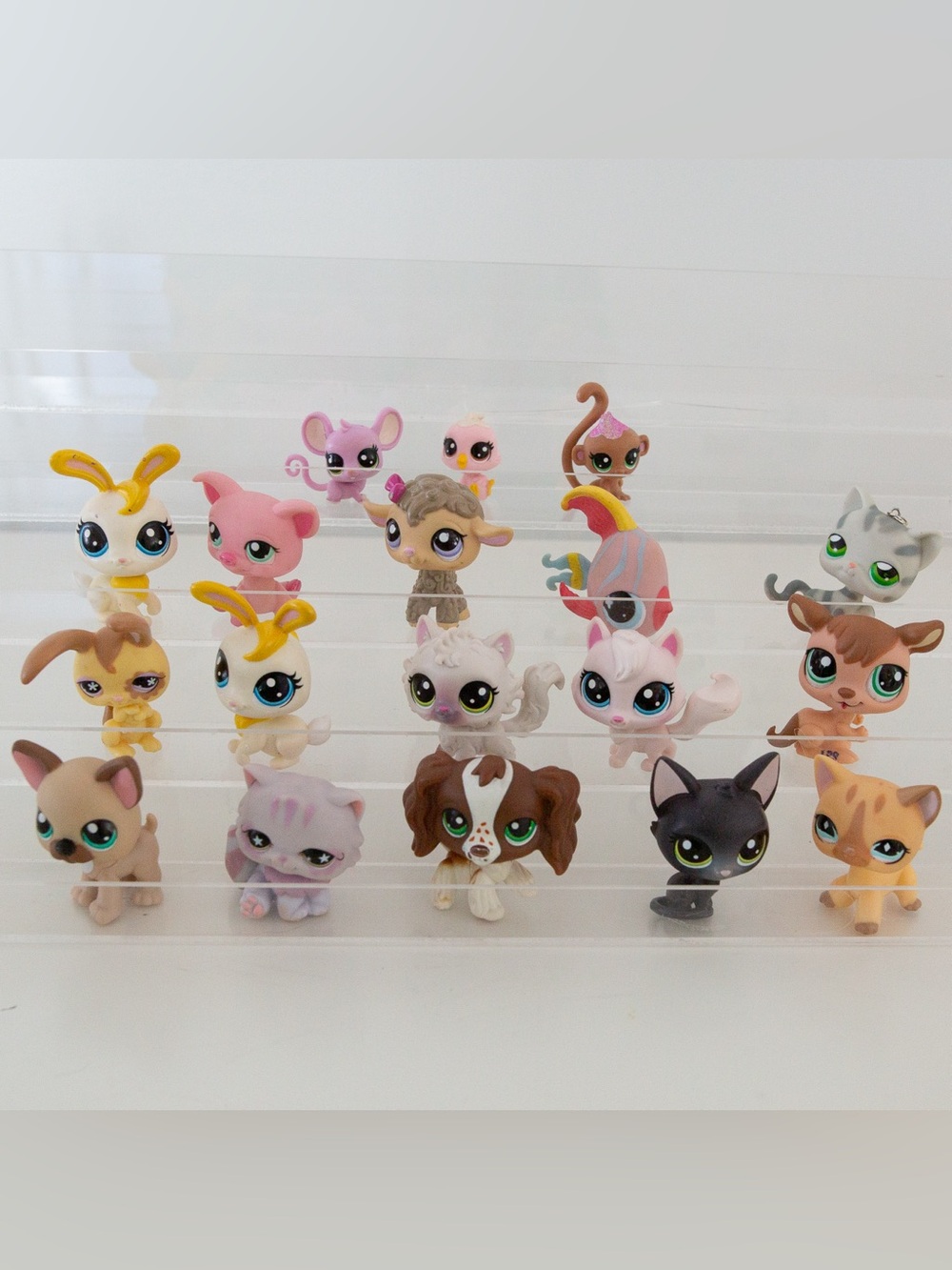 Authentic Littlest Pet Shop LPS Mixed Lot of 18 Cats Dogs Bunny Hasbro
